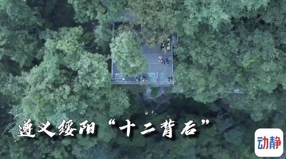 春雨直播app